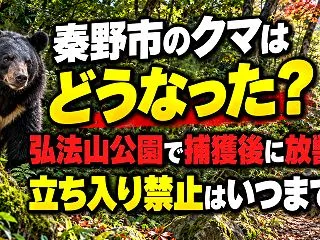 秦野市のクマはどうなった？弘法山公園で捕…