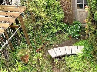 秋雨の庭。