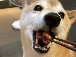 豚ロース肉