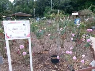 福山サービスエリア下りで購入したおみやげ