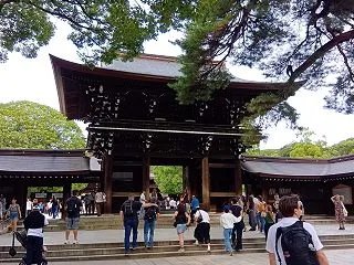 【明治神宮】都会の喧騒を忘れる森を散策