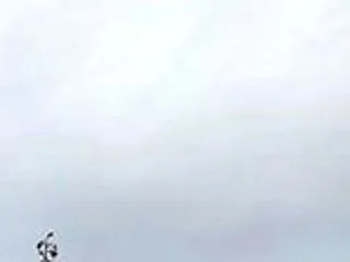 今日の万歩計