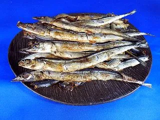 サンマ節 3本 【今週の無料お試し】《熊…