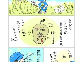 草むしり