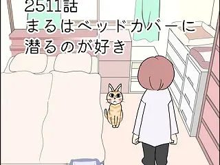 あんこ＆麦2611 まるはベッドカバーに…