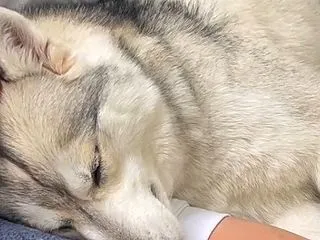 心から安心して