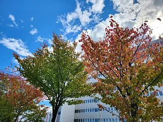 NHKドラマ10「会社員」が面白い件