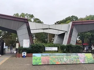 昭和記念公園のコキア