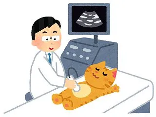 健康第一