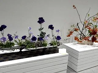 お花が綺麗に見えるね いけばな新進作家展…