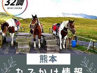 熊本発！フェリーで楽しむ長崎・佐賀の日帰…