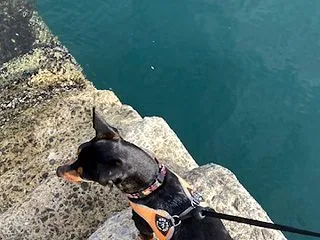 ムリナモノハムリ
