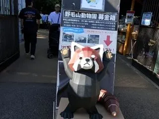野毛山動物園の歴史と獣舎見学ツアー は …