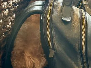 狭い所が大好き