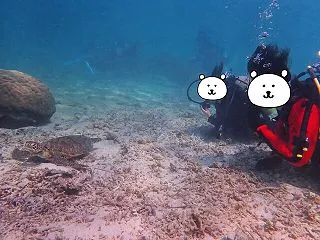 【宮古島・子連れ旅行記②】ダイビング・パ…