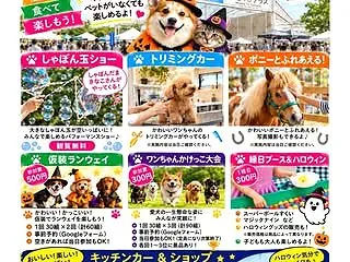 アニマルフェス at 明石T3テラス
