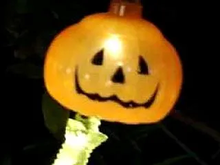 秋の夜長（よなが）