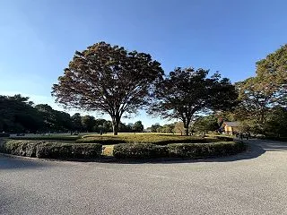 【秋晴れとは？】英語3文で学ぶClear…