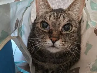 動き出す日々
