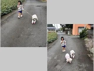 今日、凄い！って思った事