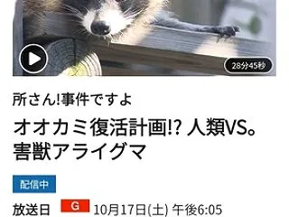 名古屋メダカベースさんNHK出演！