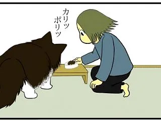 【猫との暮らし】目移りしちゃう猫