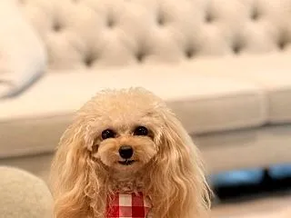 また夢に近づきそうだね。。(*ﾉˊᗜˋ*…