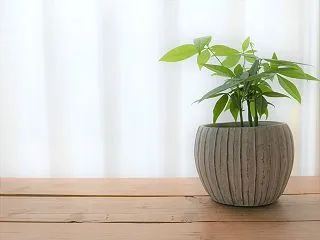 1１年使ったカーテンを断捨離する！部屋が…