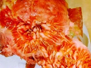 今日は病院ですね～バイオみたいなフルーツ…