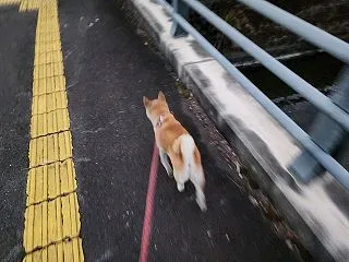 10月20日 福岡県八女市H様住宅新築工…