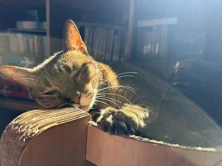 病院へ