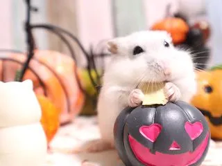 早くしないと