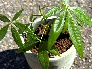 人生を変える「逆回転スイッチ」