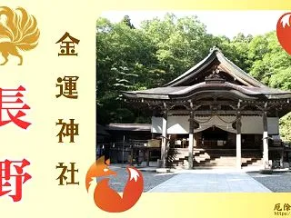 長野県の金運神社で最強&有名スポ…