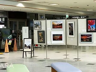 写真展示のご案内