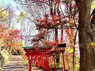 ☆近況とおススメの石の小話も☆