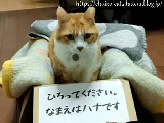 箱に蓋