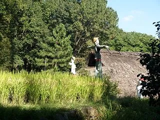 『木曽川水園の秋の風景』