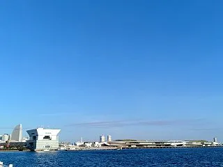 2026年11月の12星座別開運占い✩横…