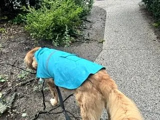 雨での悪天候でも楽しむももさん