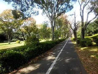よく歩きました(^^♪＆α