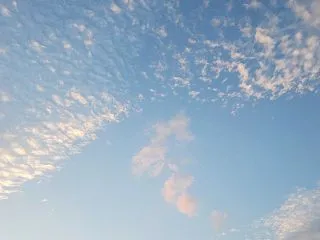 10月20日(火)のご飯