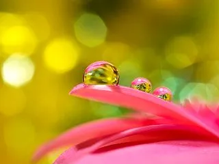 水滴