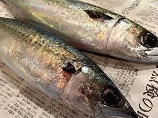 2026/10/20 (火曜) 本日、1…