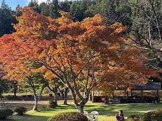 2026年10月18日