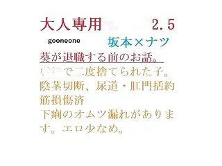 大人専用●●●2.5