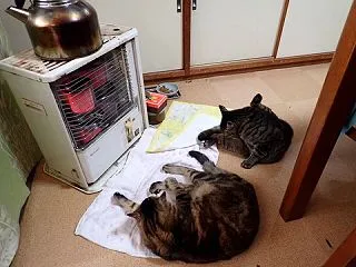 ☆★昨年より４日遅れて石油ストーブ！