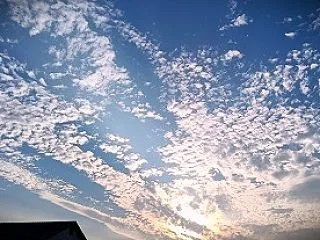 インフルエンザ予防接種