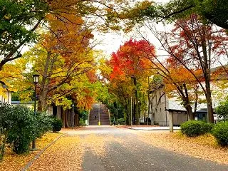 大阪城音楽堂周辺のホテル｜徒歩15分以内…