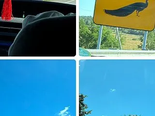 旅らへん スリランカ③ 鉄道駅バドゥッラ…